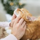 온유동물병원 이미지