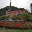 사회적협동조합숲과나무 상하지역아동센터 이미지