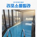 소풀 | 경주애견풀빌라 추천 | 애견동반 가능한 리포소풀빌라 후기