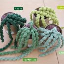 꼬불이네 이미지
