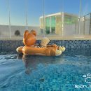 바사리 풀빌라 이미지