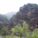 나리관광펜션 이미지