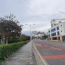 작가의 산책길 이미지