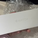 2020-46 | 포티식스 타이타늄 슬레이트/2020 SE 44mm 쓰던 인간의 기변 후기(Apple Watch 11 46mm titanium Slate)