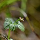 남지계곡 입구 이미지