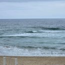 삼척해수욕장 | 삼척 쏠비치 스위트룸 후기 (+삼척해수욕장 전용 해변)