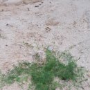 너래농원 이미지