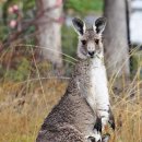 유정메디칼 이미지
