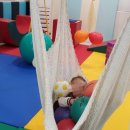 심리운동센터 숲 이미지