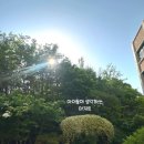 무룡초등학교 이미지