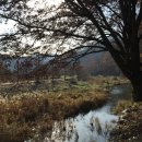 어곡리마을회관 이미지