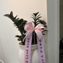 질풍가도광주센터