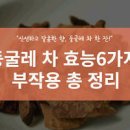 둥글레차 둥굴레차 잎 뿌리 카페인 주의해야 할 건 이미지