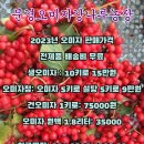 강준혁농장 이미지