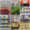 지에스25주촌선천점 | 코스트코 김해점 1월 둘째 주 장보기 후기｜할인상품부터 이것저것 다 담아왔어요