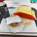 주음치 인공 수정소 | 다시시작해