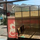 태극반점 이미지