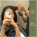 [성수역 미용실] 샵위드 성수본점: 프라이빗한 공간에서의 모발크리닉 후기