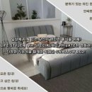 스왈로 이미지