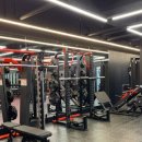 울프피트니스 이미지