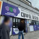 대부도포도빵 | 대부도 당일치기 여행 기념품 추천 대부도 포도빵 내돈내산 후기