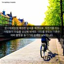 태양무역 이미지