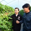 우리들엔영농조합법인 이미지