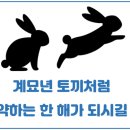 도배의 명가