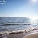 동막해변 티스토리