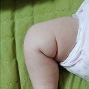 참길팜 이미지