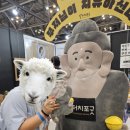 MZ따라잡기 인스타그램 | [2025 부산국제불교박람회 첫날 방문솔직후기] 극락도 락이다 | 부산가볼만한곳 부산실내데이트