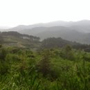 주천면 고촌마을 이미지