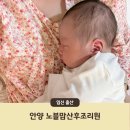 삼희월드프라자 | 안양 노블맘 산후조리원 재방문 후기 (feat. 둘째 출산)