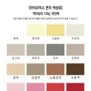 매직칼라 - 강남구 역삼로 141 | 매직칼라