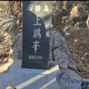 척추자세교정걷기테라피 이미지