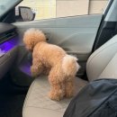 더타이어샵 현대출고점 | [현대자동차 코나] 드디어 만난 내 첫 새차 🚗 설렘 가득 출고 풀스토리 | 대리점 구매 리얼후기