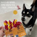 털로덮인친구들 수원매교점 이미지