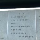 꽃사슴떡볶이 - 강남구 남부순환로363길 49 | 꽃사슴떡볶이
