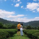 박태준내과의원 이미지