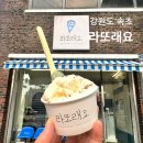 속초 젤라또 라또래요 내돈내산 후기