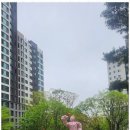 위버필드 공인중개사사무소 | 과천위버필드 과천의 숨은 보석, 금터공인중개사에서의 특별한 경험