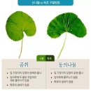 한잔가득 티스토리