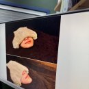 금화효소원 - 제주시 월랑북길 1-10 | 금화효소원