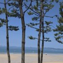 한내시장2 이미지