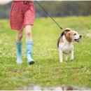 신천동물병원 이미지