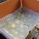 영후농장 이미지