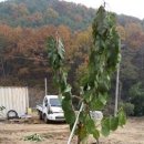 승리농장 이미지