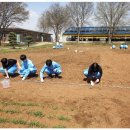 김종덕농장 이미지