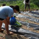 새터공동체 이미지