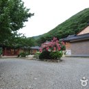 정수사 - 연수구 신송로 165-19 | 정수사